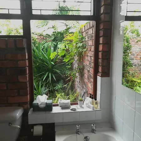Le Petit Vignoble Bed & Breakfast Cape Town Room photo