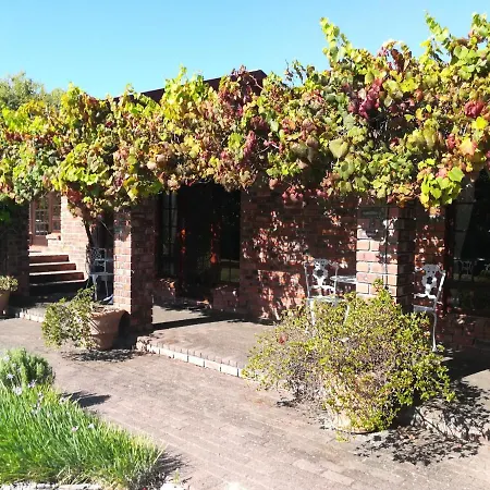 Le Petit Vignoble Bed & Breakfast Cape Town Exterior photo