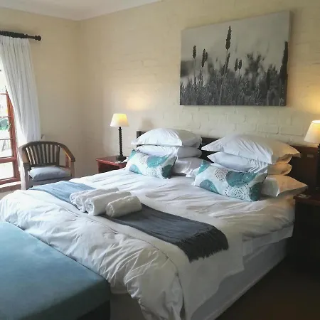 Le Petit Vignoble Bed & Breakfast Cape Town Room photo