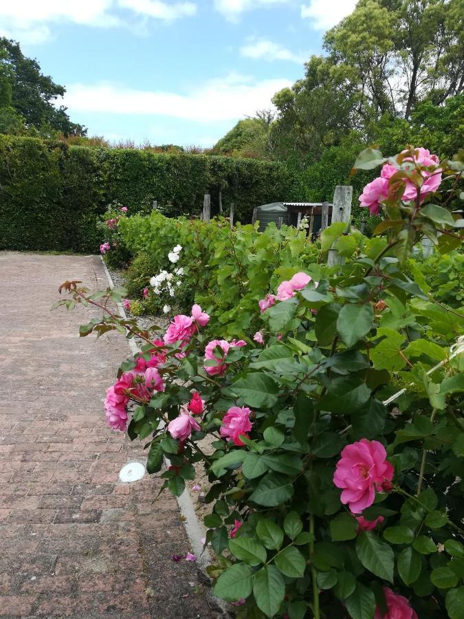 Le Petit Vignoble